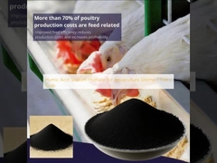 Humic Acid Sodium Humate for Aquaculture Shrimp / Fish / Crab